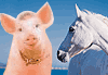 Descarga: El caballo y el cerdo
