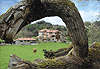 Descarga: Lugares de Cantabria