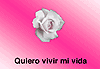 Descarga: Quiero vivir mi vida