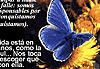 Descarga: La mariposa azul
